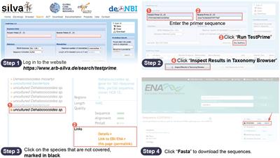 Developing the script “degenerate primer 111” to enhance the coverage of universal primers for the small subunit rRNA gene on target microorganisms